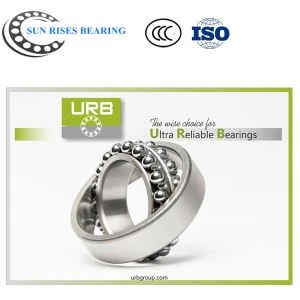1204 cuscinetto EKTN9