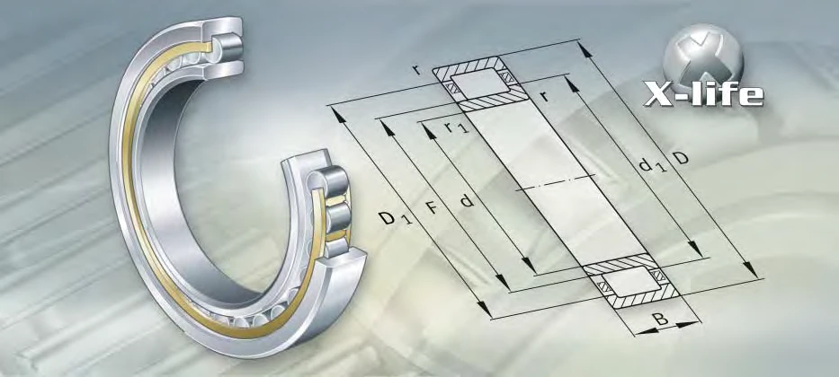 NU2244-EX-TB-M1 bearing drawing NU2244-EX-TB-M1 bearing drawing